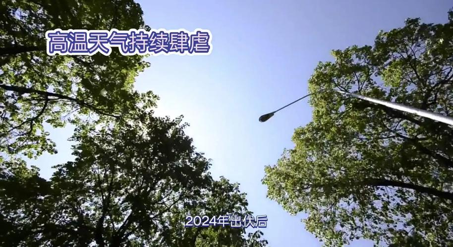 六台彩2024资料:破纪录高温来了