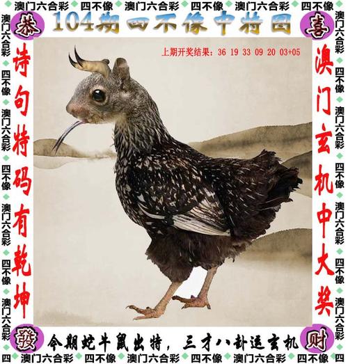 收集各类澳门彩资料的软件叫什么:禁城镇居民农村买房
