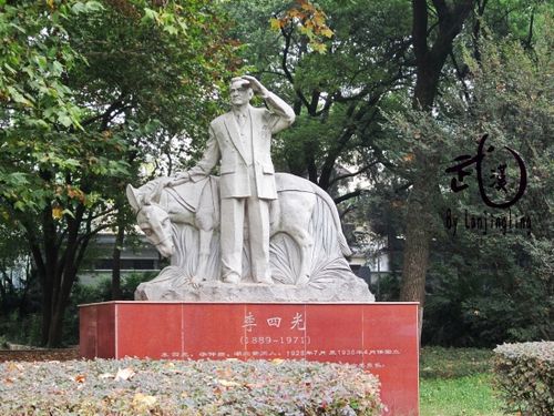 新澳今日开奖结果:武大校门被淹一米深