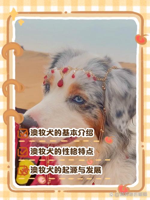 澳彩资料免费的资料大全wwe全面解答:卖小狗花束月入3万