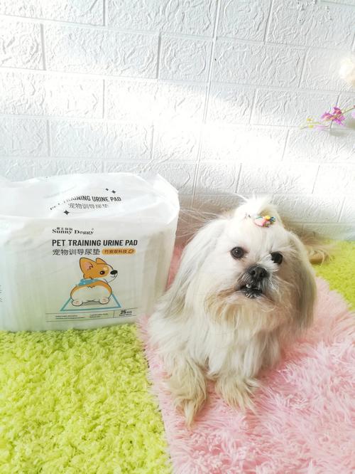 澳彩资料大全部网站010:600一节课教狗如厕