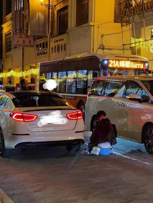澳门资料百科:在澳门乱过马路被撞
