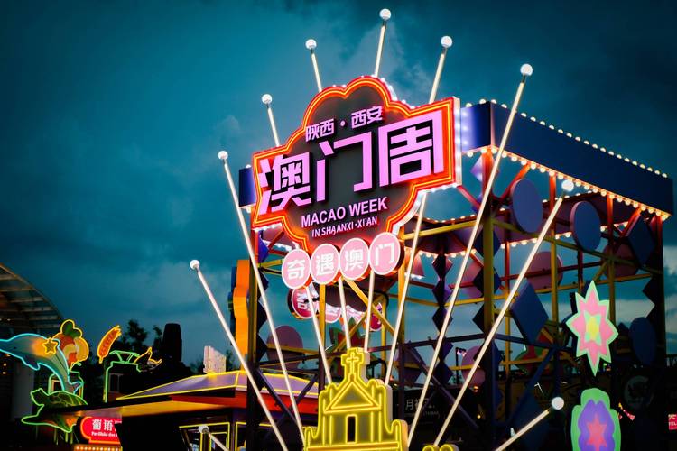 收集各类澳门彩资料的软件叫什么:女子每月花780抱树