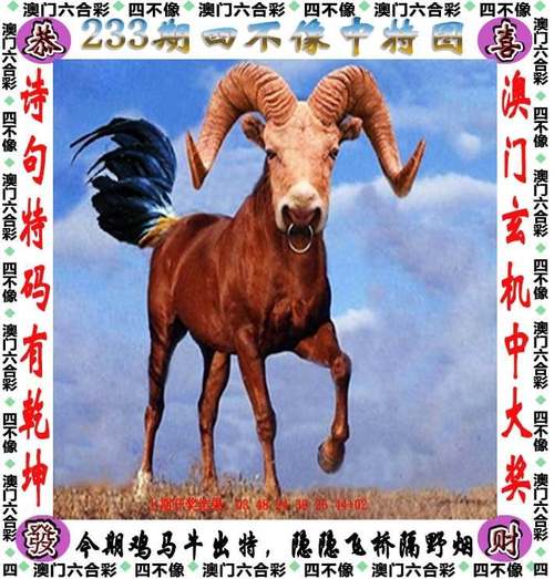 2025年5月29日 第37页