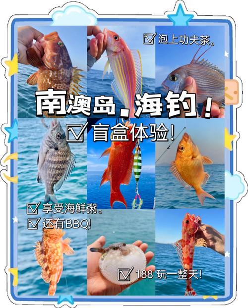 澳门资料百科:保护区里的疯狂垂钓