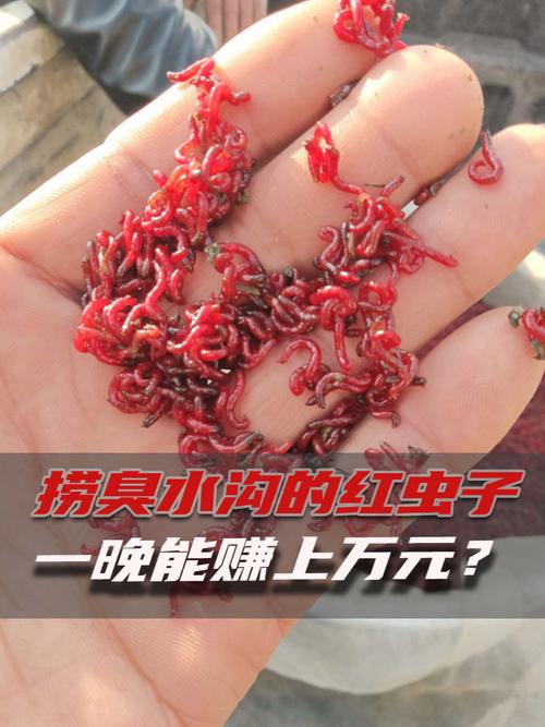 澳门资料百科:自来水中含活体虫