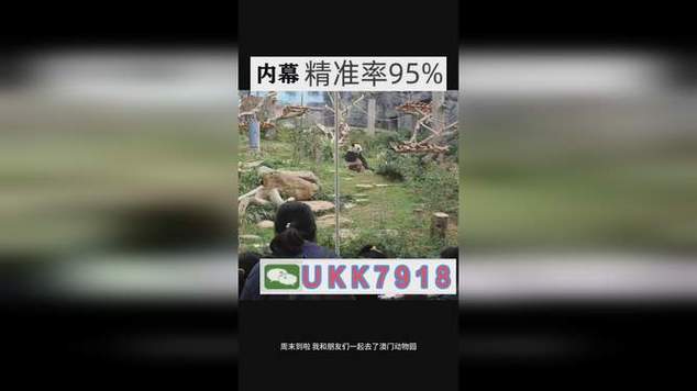 澳彩资料免费的资料大全wwe全面解答:蜜雪爆单店员崩溃